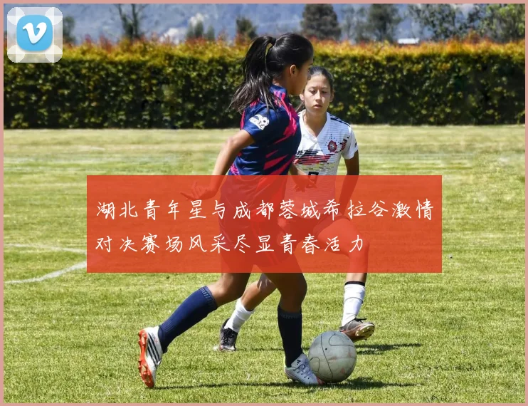 湖北青年星与成都蓉城希拉谷激情对决赛场风采尽显青春活力