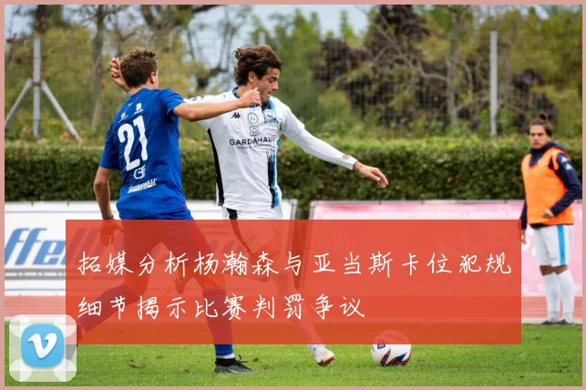 拓媒分析杨瀚森与亚当斯卡位犯规细节揭示比赛判罚争议