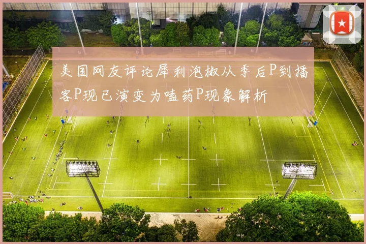 美国网友评论犀利泡椒从季后P到播客P现已演变为嗑药P现象解析